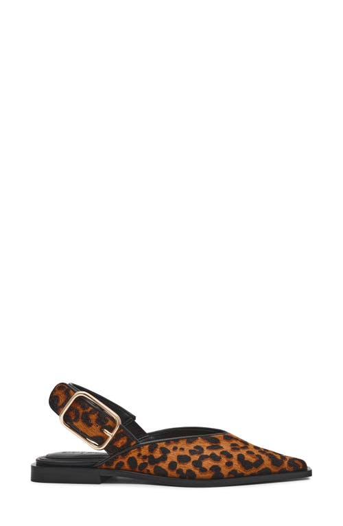 Steve Madden Shay Genuine Calf Hair Pointed Toe Slingback Flat In Leopard