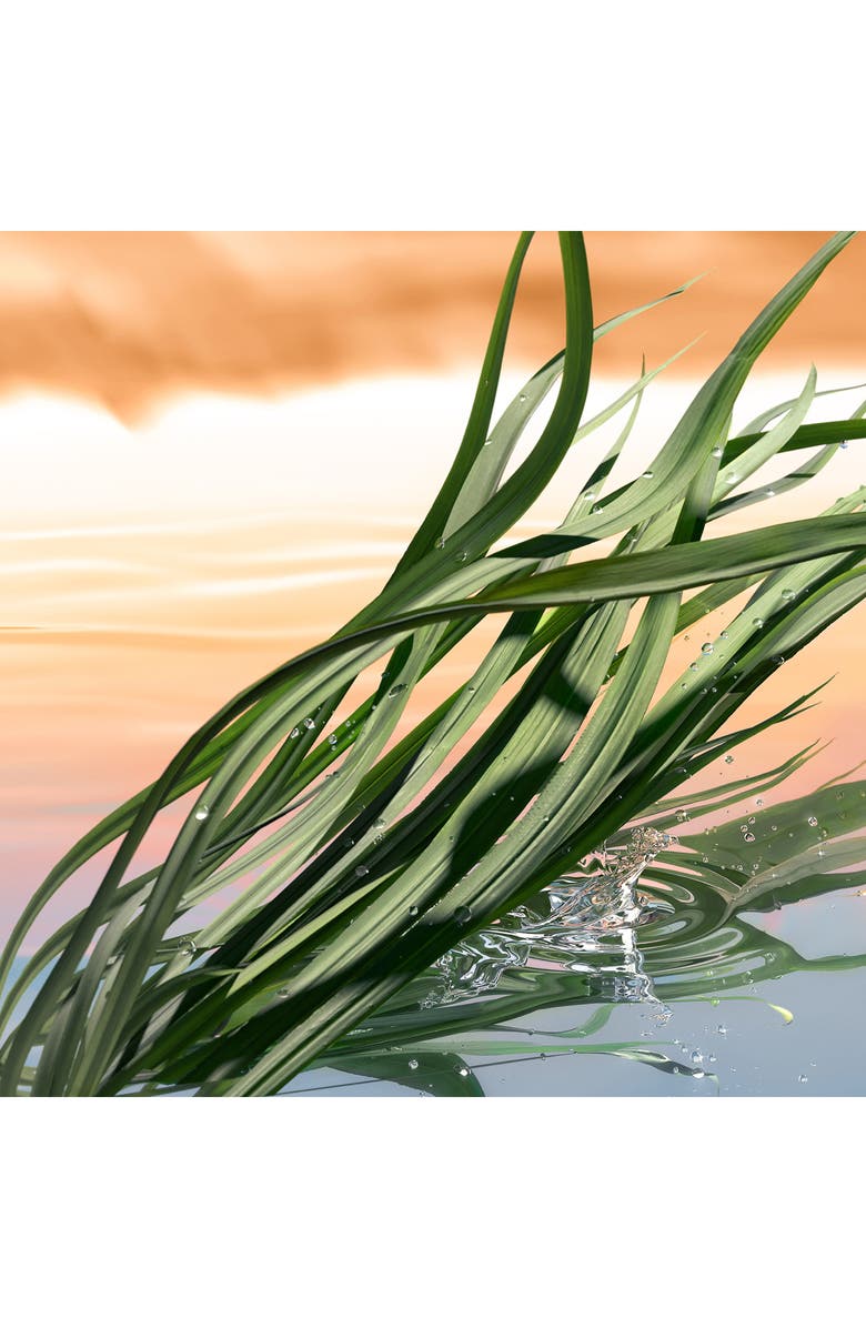 Estée Lauder Luxury Collection Blushing Sands Eau de Parfum, Alternate, color, 