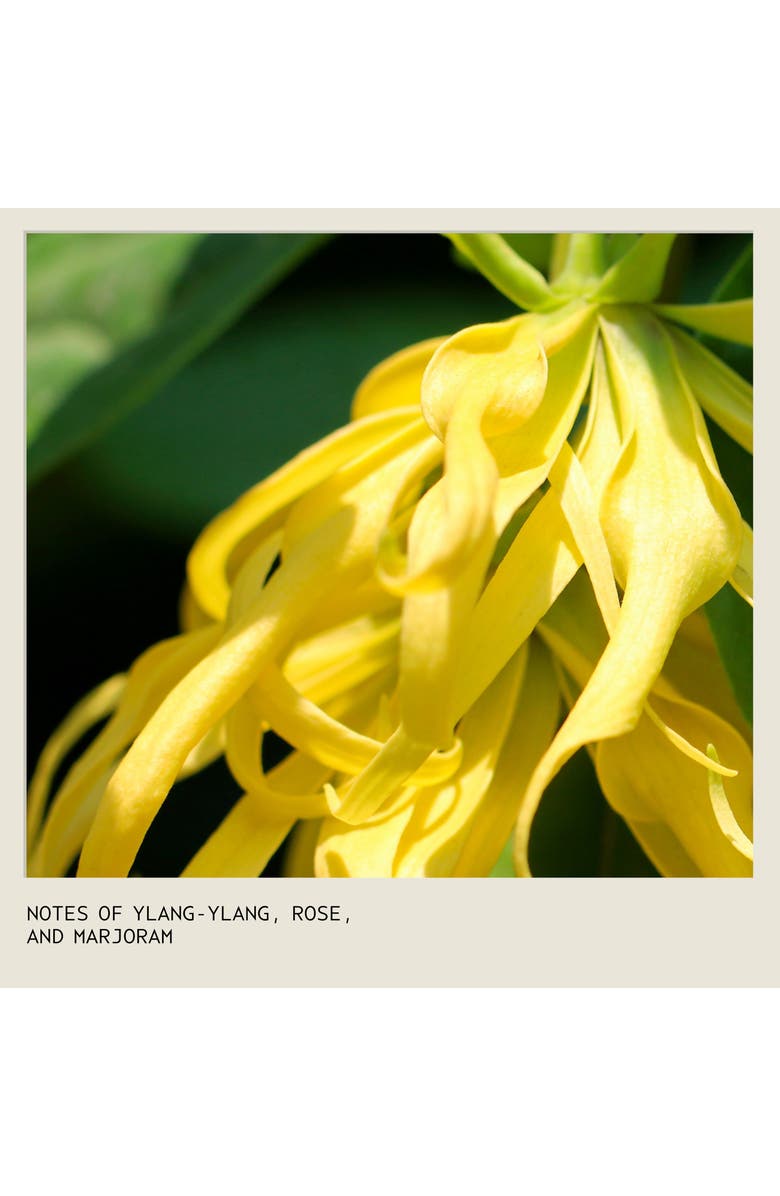 Aveda botanical repair<sup>™</sup> Bond-Building Flash Treatment, Alternate, color, 