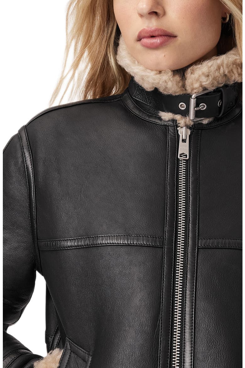 Lorel Leather & Genuine Shearling Flying Jacket, Alternate, color, BLACK/ NATURAL