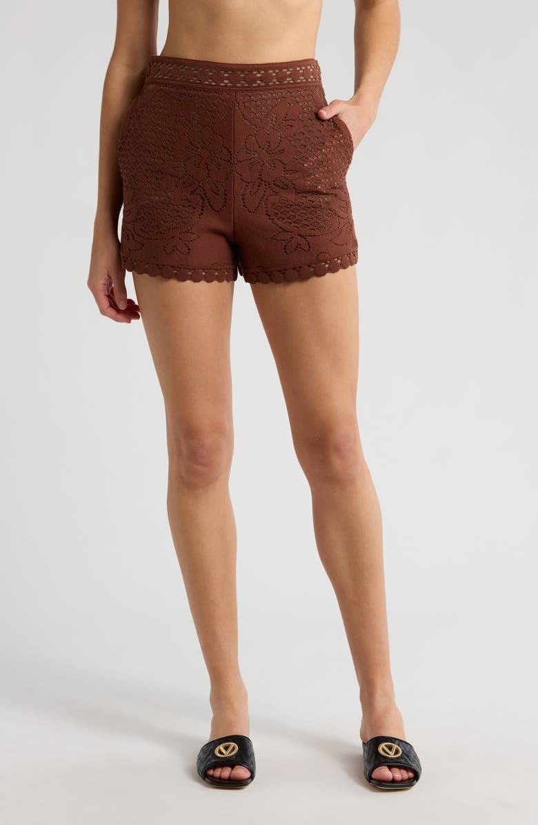 Valentino Garavani Cotton Blend Lace Shorts, Main, color,