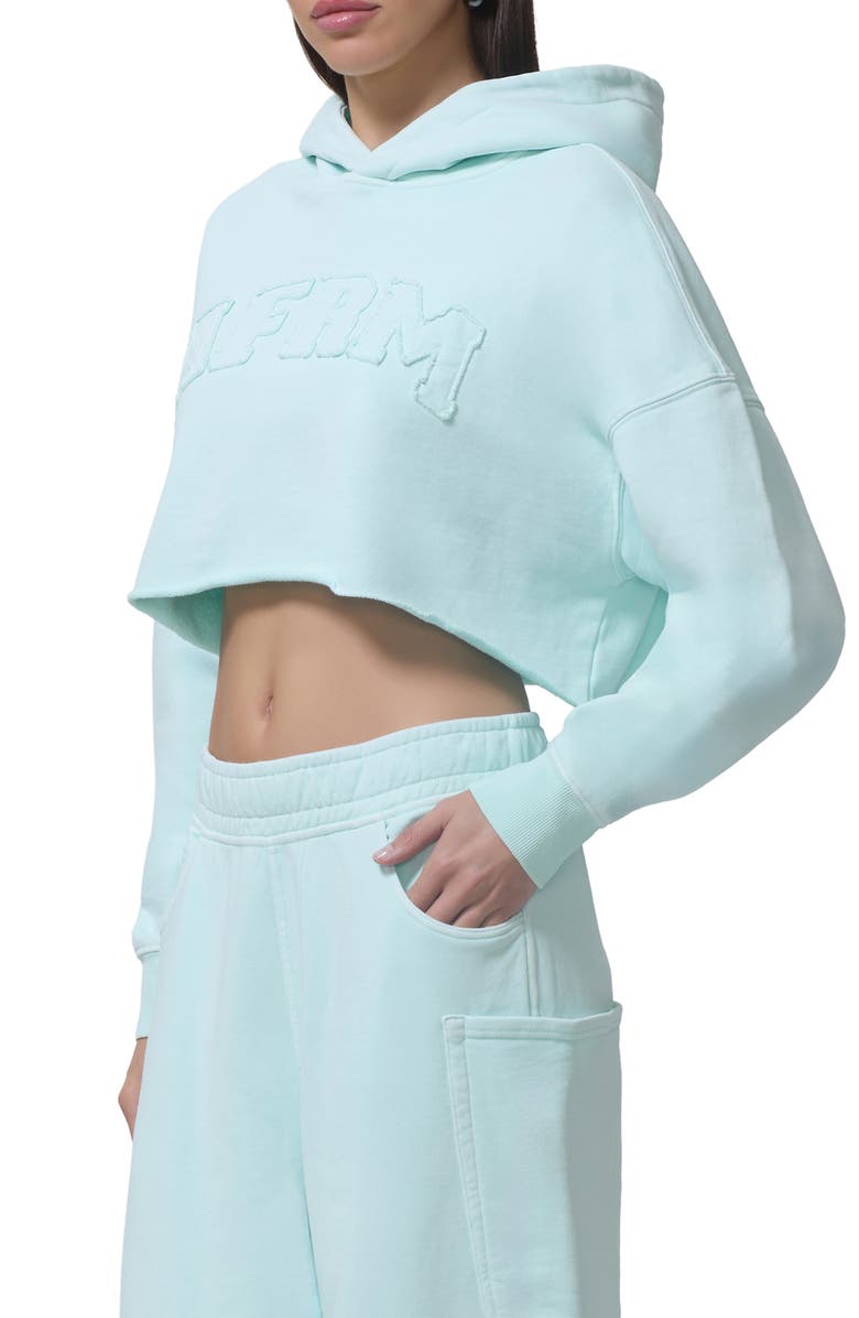 AFRM Darius Crop Cotton Hoodie, Alternate, color, Icy Morn