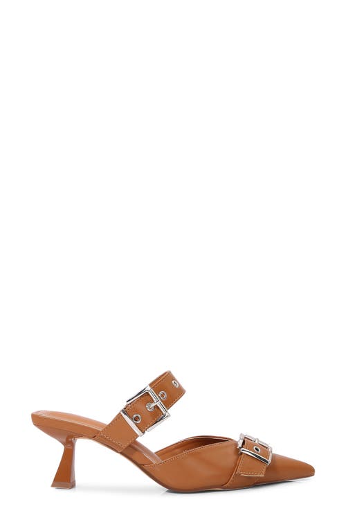 BERNESS BERNESS ARCHER POINTED TOE KITTEN HEEL MULE 