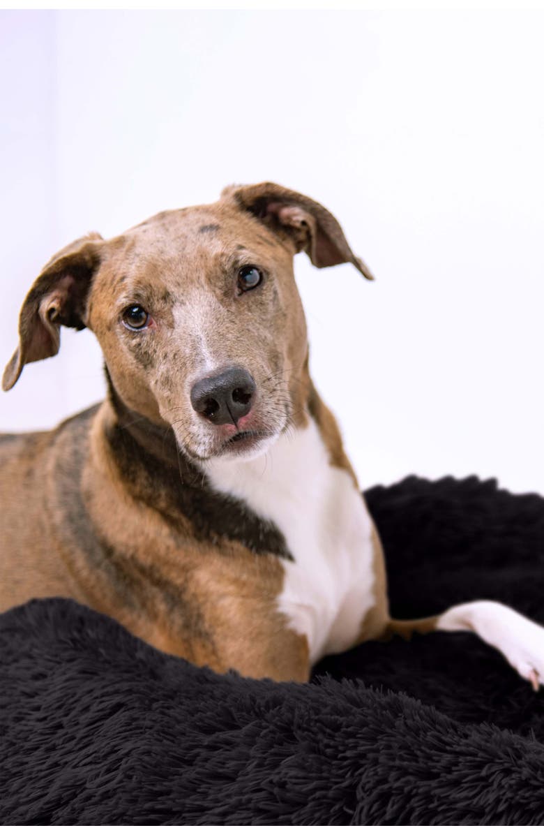 Puppington Pupper Slumber Ultra Calming Anti-Anxiety Pet Bed, Alternate, color,