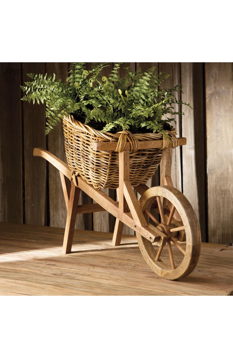 Napa Home & Garden Boston Fern Drop-In 12", Alternate, color, 