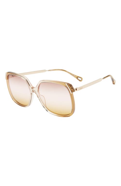 Chloé 60mm Oversize Square Sunglasses In Sand