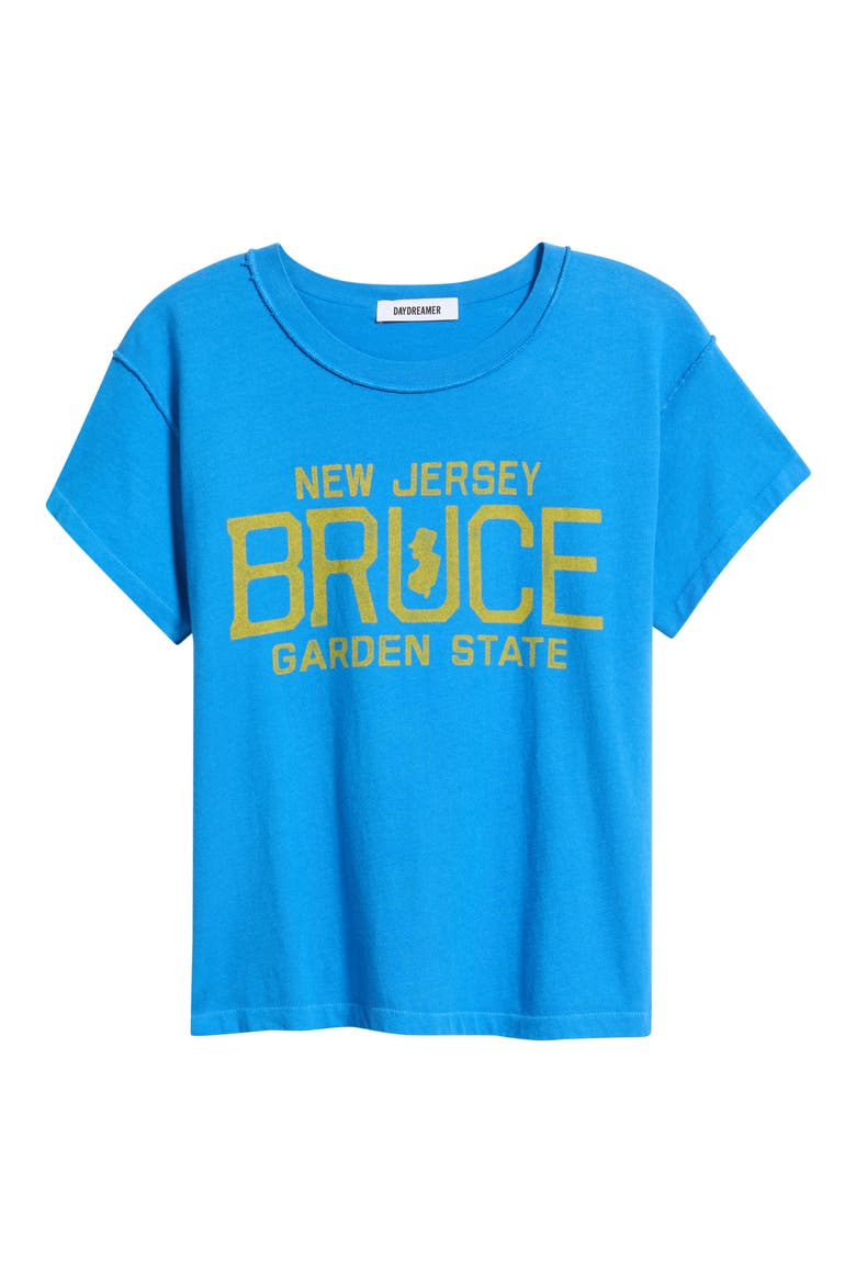 Bruce Springsteen Garden State Graphic Tee, Alternate, color, AZURE BLUE