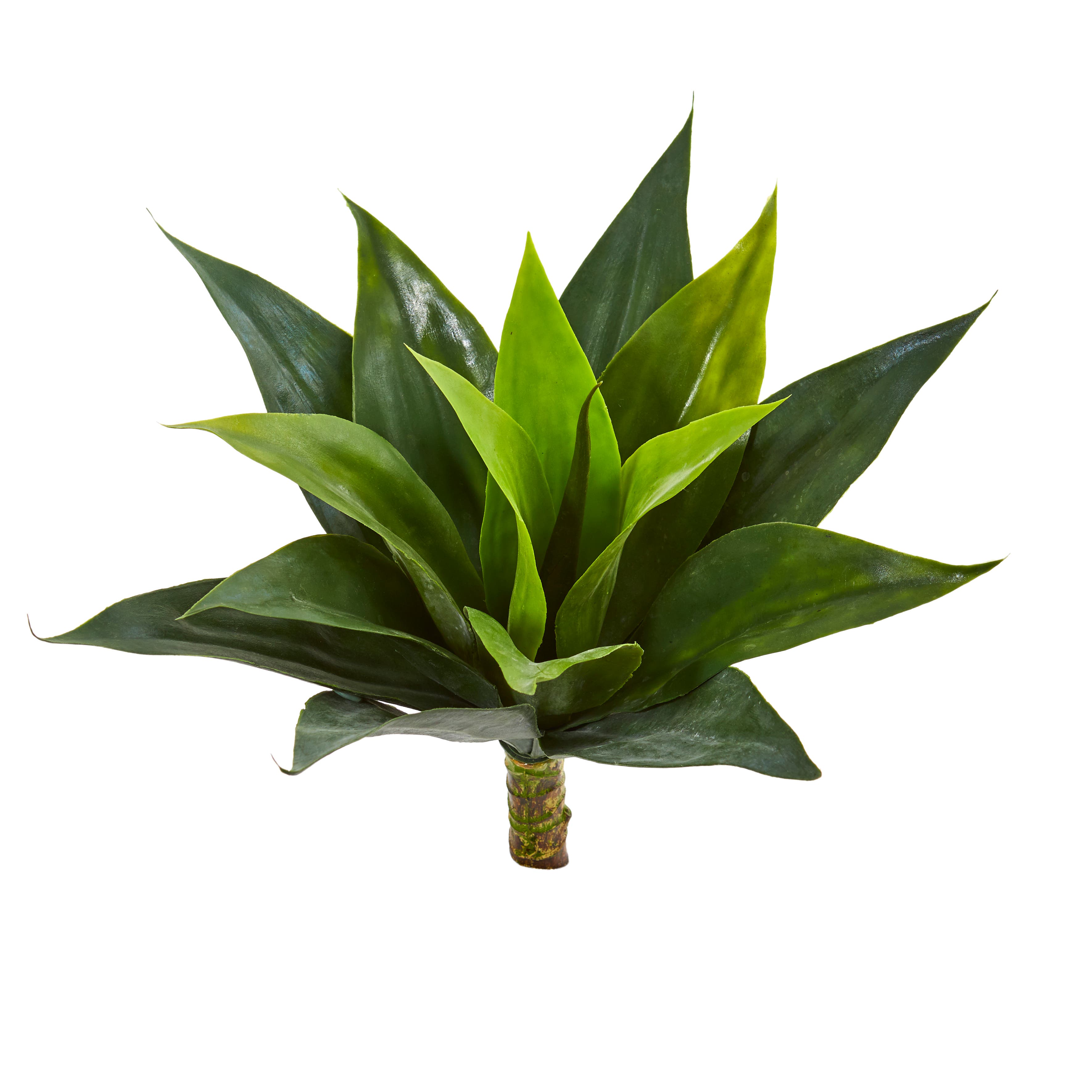 selected Green