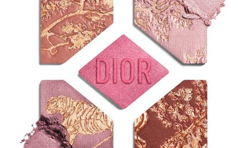 DIOR 'DIORSHOW 5 COULEURS LIMITED EDITION 5 COLOR EYESHADOW PALETTE