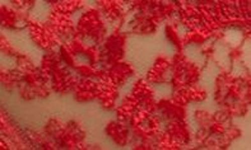 Dita Von Teese Lavinia Embroidered Thong In Flame