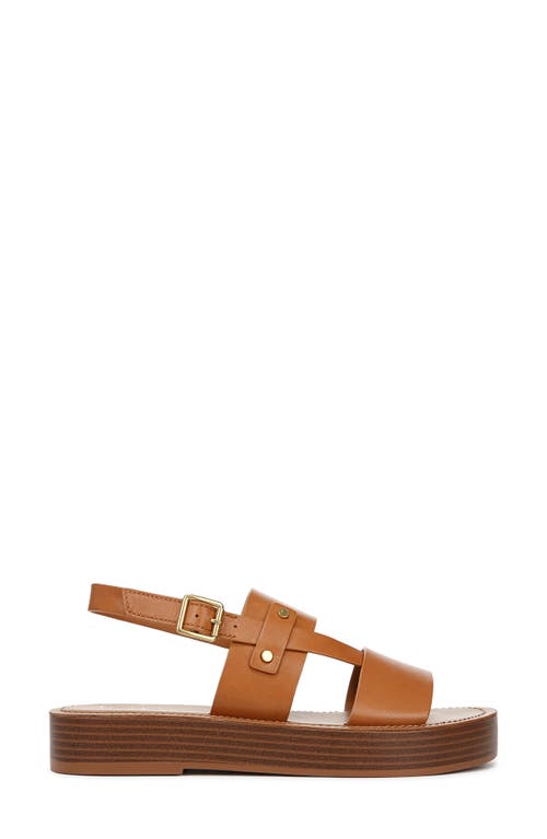 Franco Sarto Genova Slingback Platform Sandal In Brown