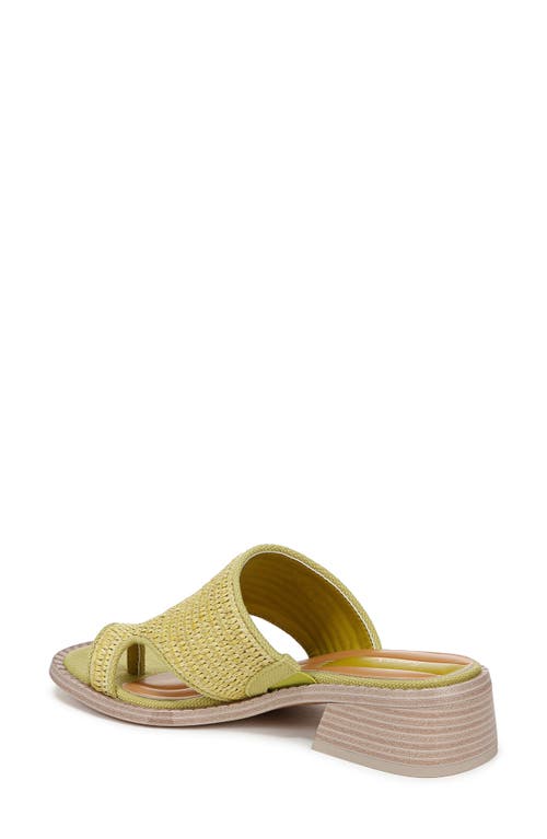 Shop Franco Sarto Sia Slide Sandal In Green