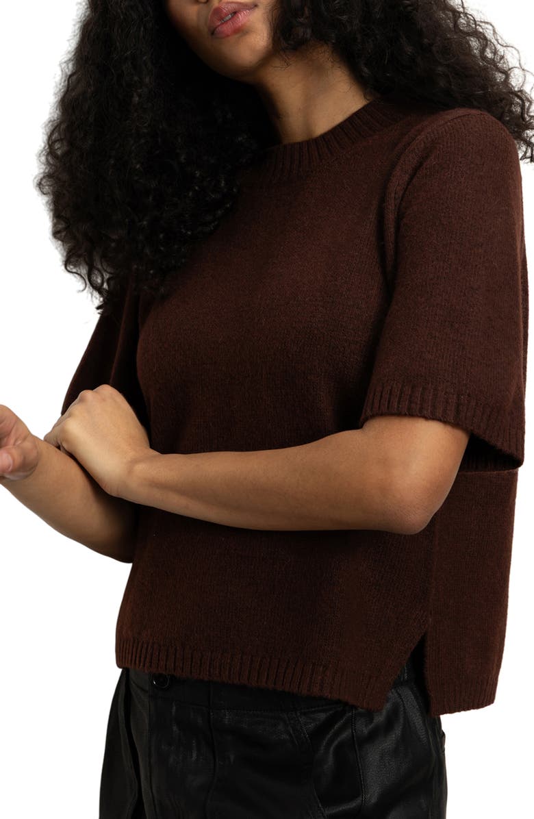 Sanctuary Short Sleeve Sweater, Alternate, color, 