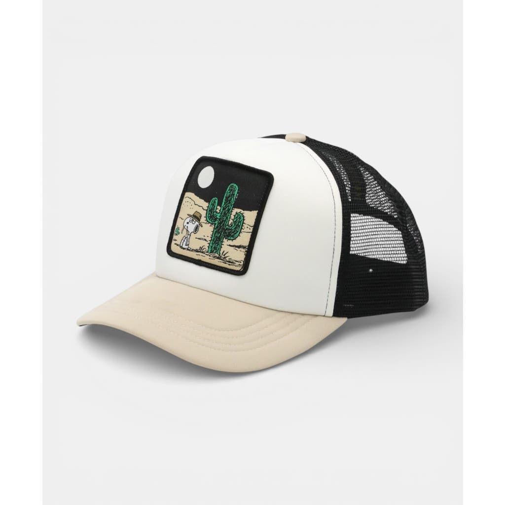Peter Grimm Spike Trucker Cap In Tan