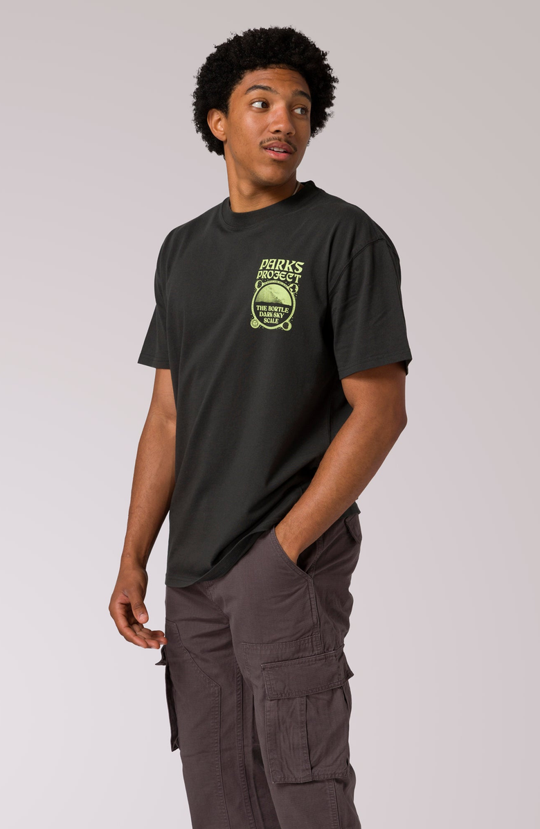 Parks Project Dark Sky Scale Tee, Alternate, color, Vintage Black