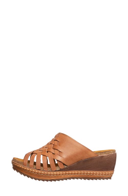 Antelope Daley Wedge Sandal In Taupe