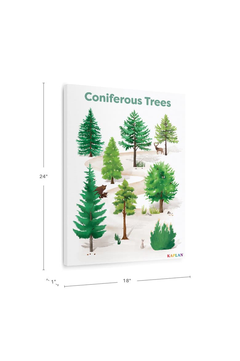 Coniferous Tree Giclee Classroom Wall Print, Alternate, color, green