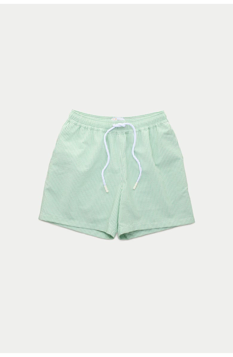 Wolf Vs. Goat (WvG) Swim Shorts 5inch Inseam, Main, color, Spearmint And White Stripes