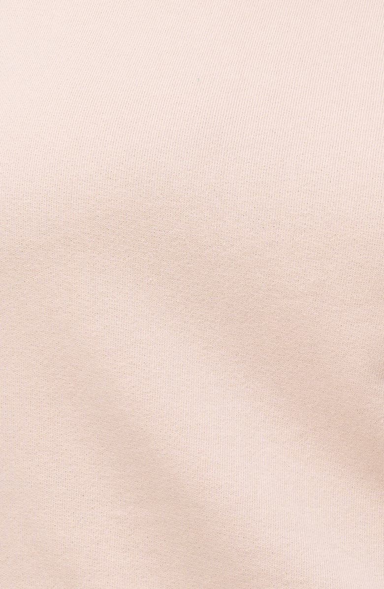 The Standard Stitch The Raglan Sweatshirt, Alternate, color, Oat