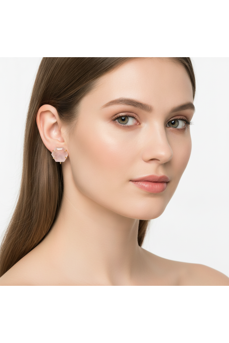 Chicago Interchangeable Drop Earrings, Alternate, color, Brown & Pink