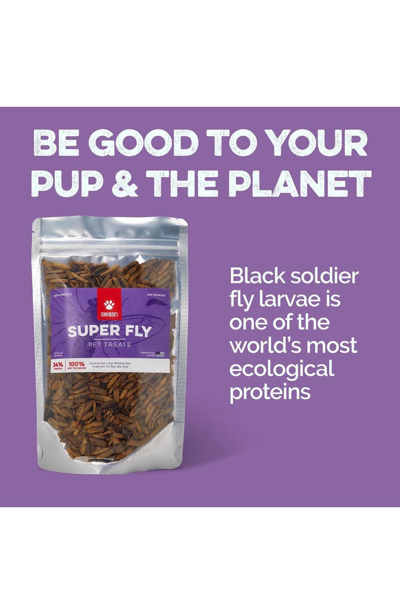 Scout & Zoe's Super Fly Black Soldier, Swarm Trio, Dog Treat Variety Pack, 10oz, Alternate, color, Multicolored