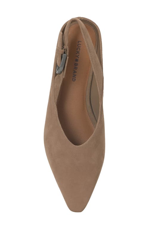 Lucky Brand Brigeet 2 Pointed Toe Pump In Brown