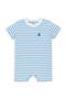  Cornflower White Stripes