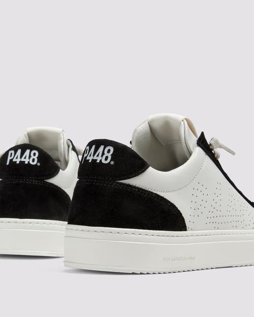 P448 Soho Sneaker In Thunder