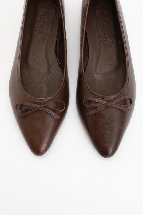 Forever & Always Shoes Ruby Leather Pointed Toe Flats In Brown Leather