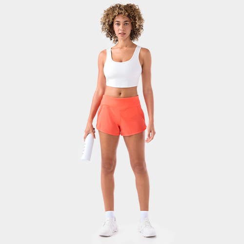 Tavi Sport Short In Animal Print