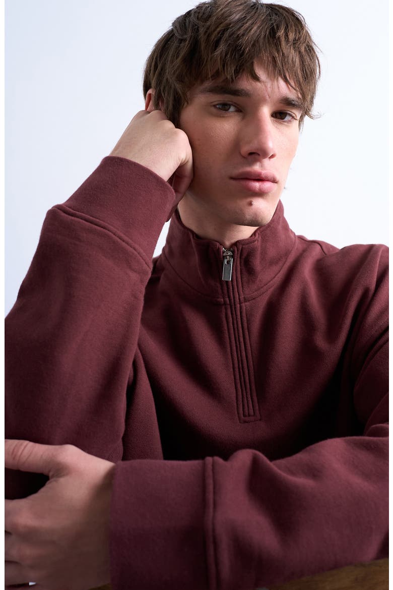 Heavyweight Oversize Quarter Zip Sweatshirt, Alternate, color, BROWN