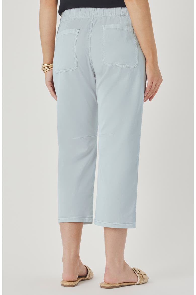 Regina Crop Pants, Alternate, color, COUNTRY AIR BLUE