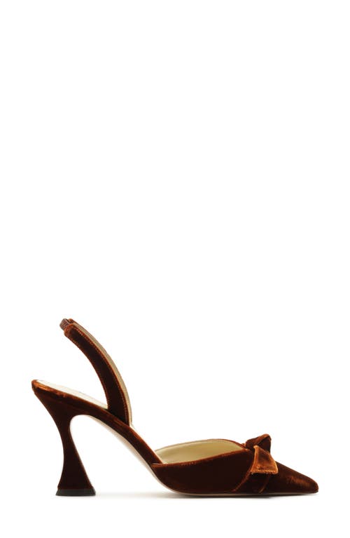Alexandre Birman Clarita Bow Pointed Toe Slingback Sandal In Brown