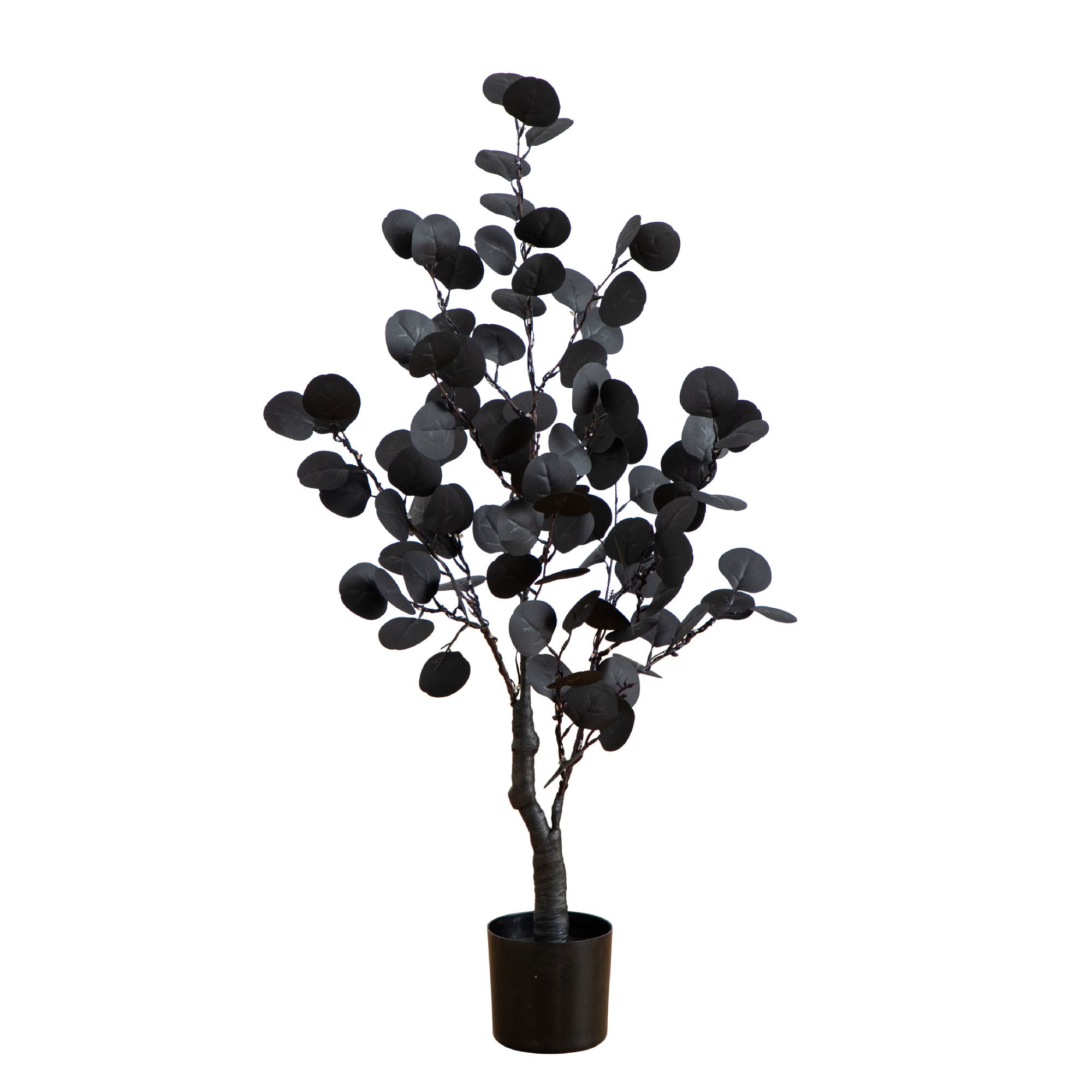 selected Black