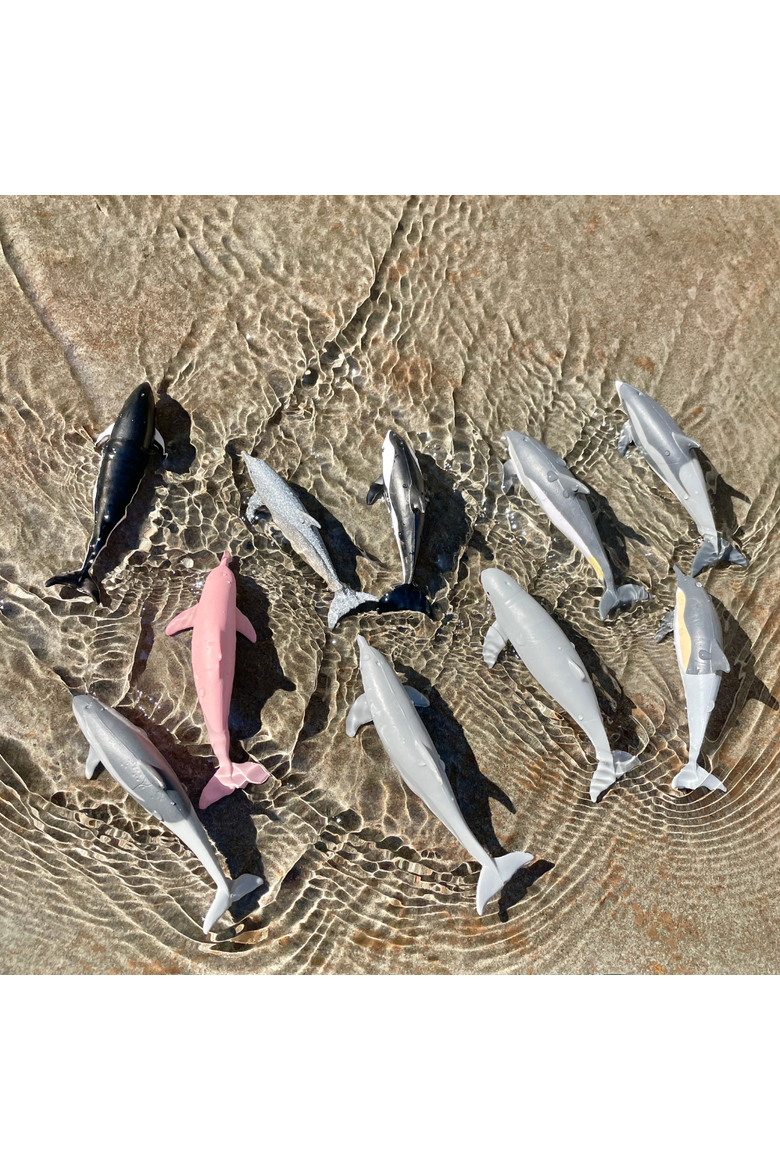 Dolphins Toy, Alternate, color, No Color
