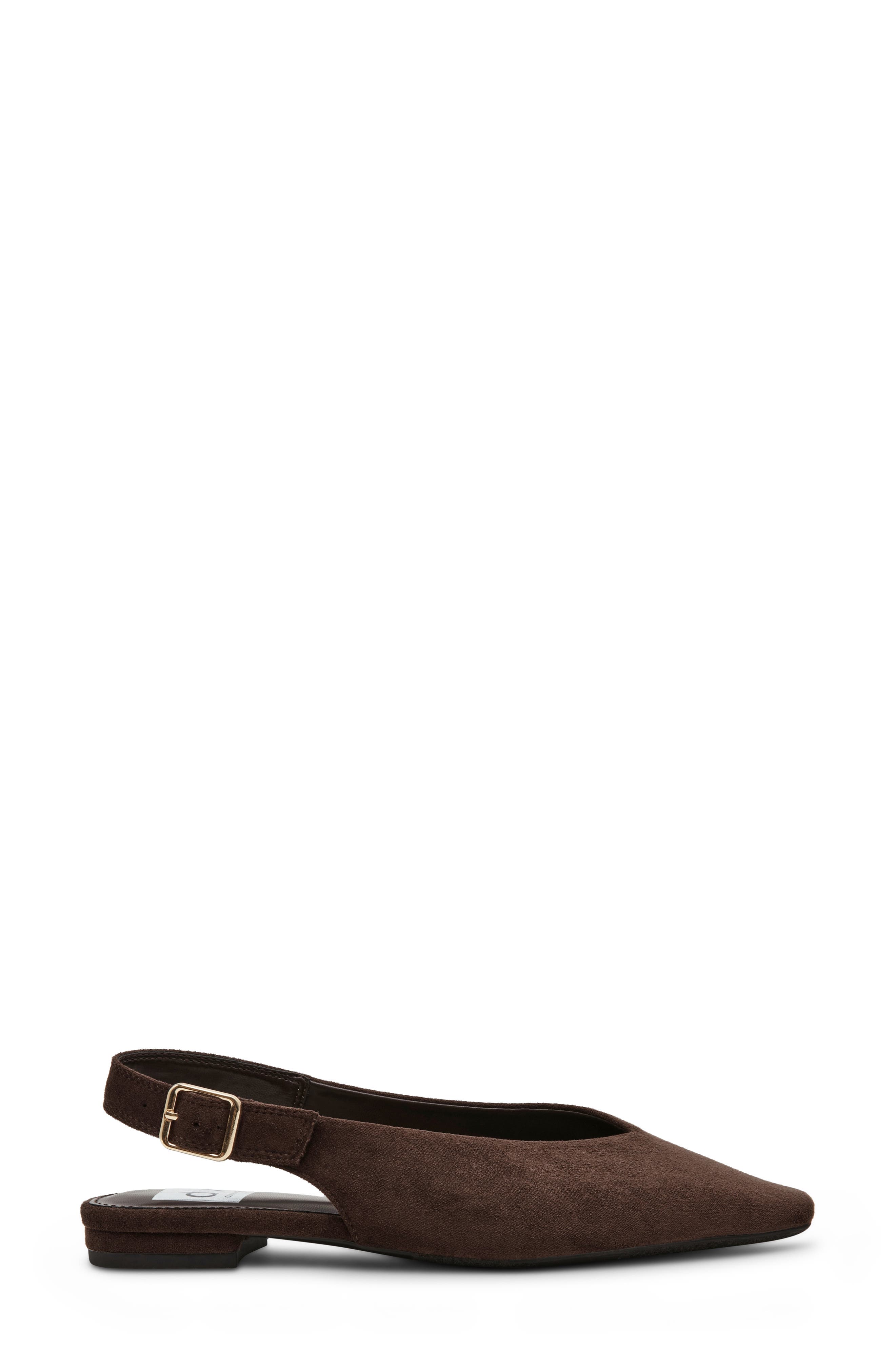 Renada Slingback Pointed Toe Flat, Alternate, color, BROWN