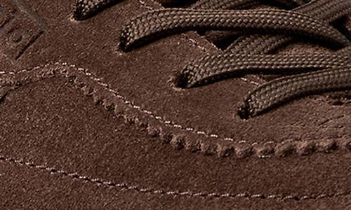 Polo Ralph Lauren Bedford Sneaker In Brown