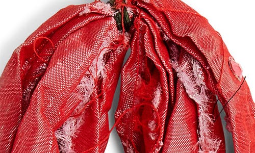 Isshi Amaranthus Drop Earrings In Scarlet
