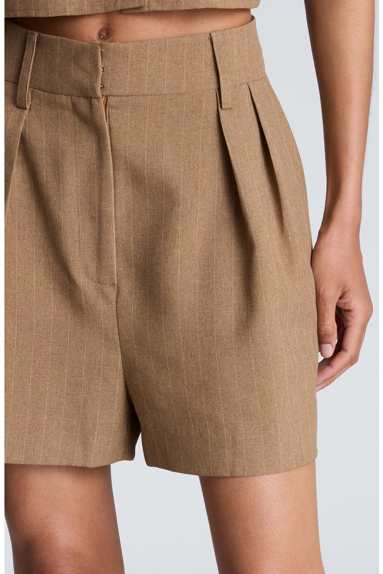 High Waist Pinstripe Pleated Shorts, Alternate, color, PEANUT HEATHER/ OYSTER