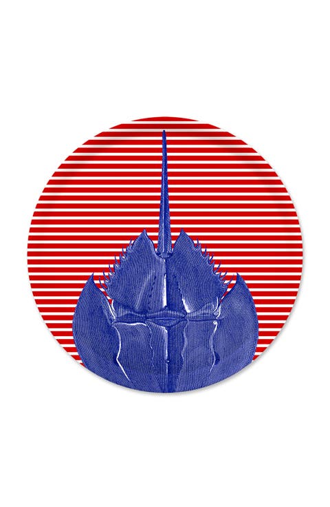 Birchwood Trays-Wood & Melamine