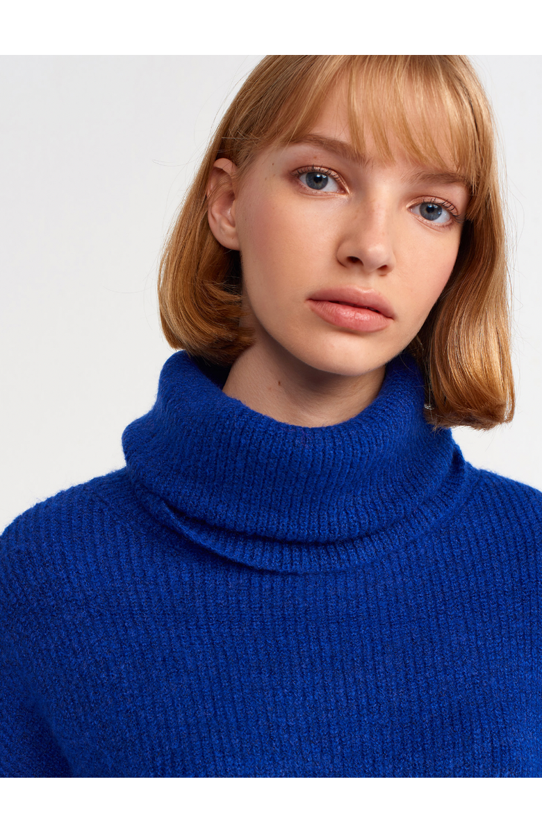 Le Fafo Olga Turtle Neck Sweater, Alternate, color, Royal Blue