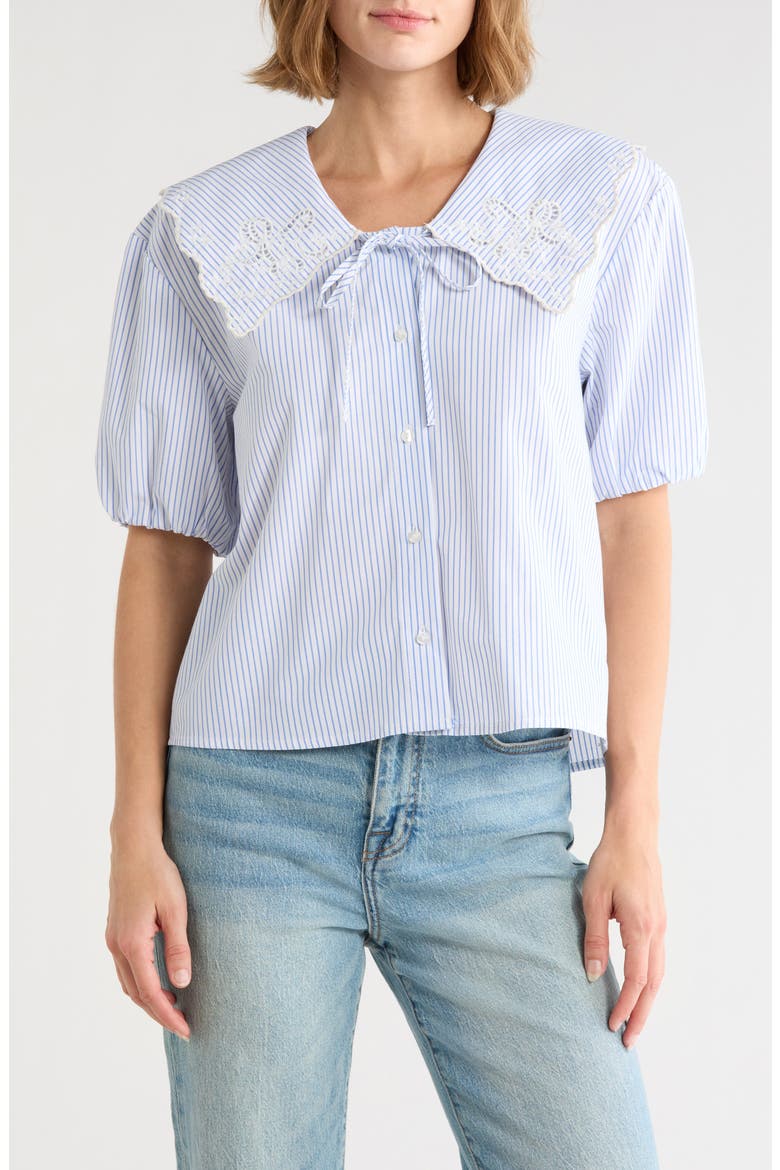 Embroidered Striped Shirt, Main, color, WHITE WITH BLUE STRIPES