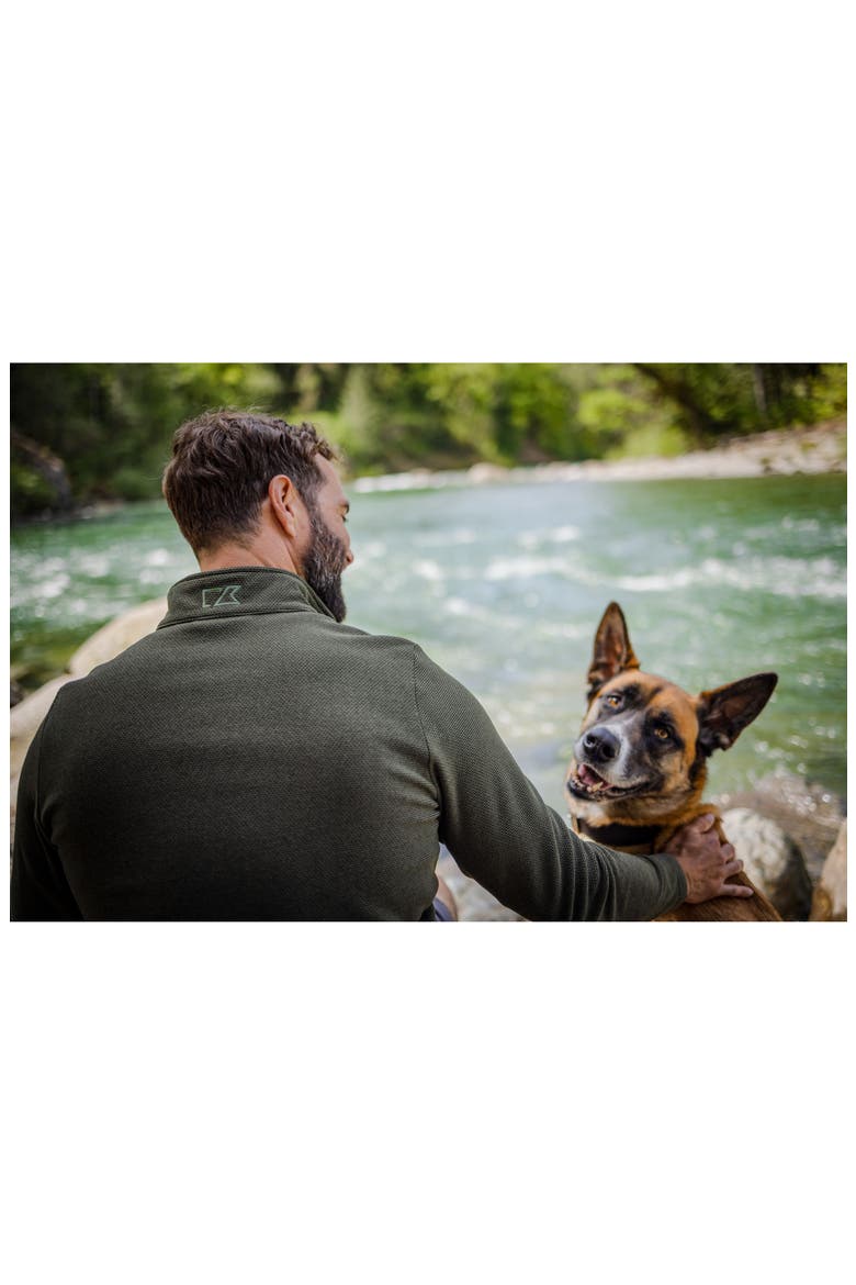 Hunts Point Fleece Snap Pullover, Alternate, color, POPLAR