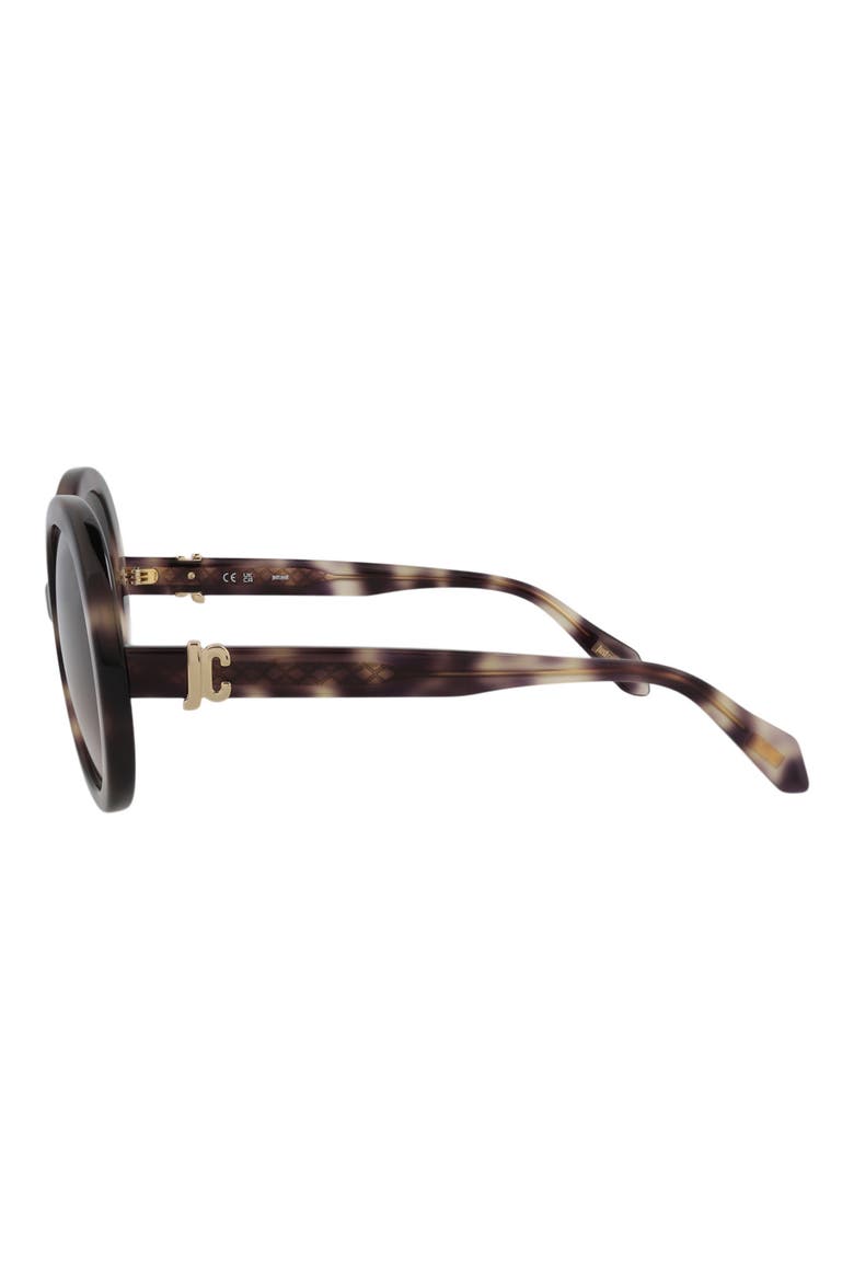 51mm Round Sunglasses, Alternate, color, HAVANA HAVANA BROWN