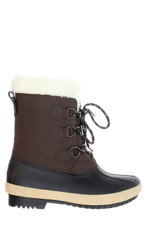 Pajar Oscar Waterproof Boot In Brown