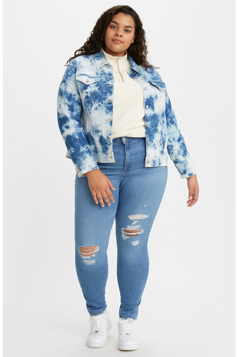 Levi's® 721™ High Waist Skinny Jeans, Alternate, color, TRIBECA KNOCKOUT PLUS