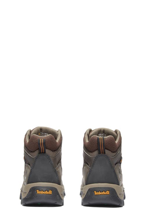 Timberland Kids' Mt. Maddsen Waterproof Hiking Boot In Dark Brown
