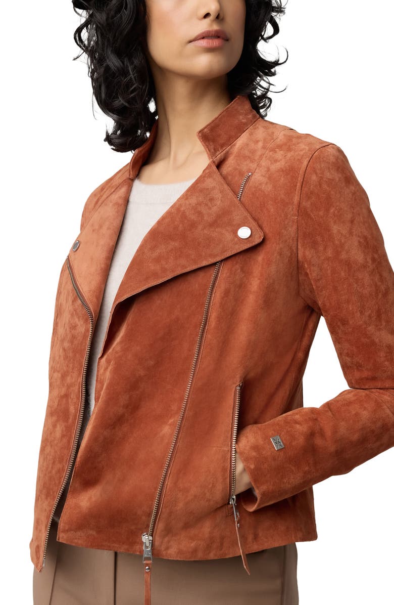 Soia & Kyo Saskia Suede Moto Jacket, Alternate, color, 