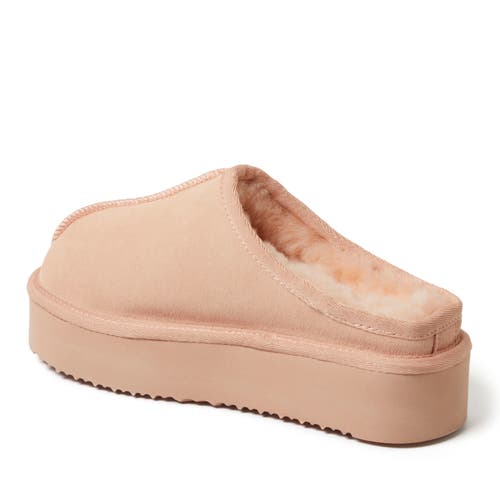 Dearfoams Fireside Queenstown Genuine Shearling Platform Clog Slipper In Peach Dust