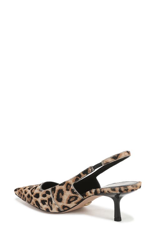 Veronica Beard Cashel Slingback Pointed Toe Pump In Brown